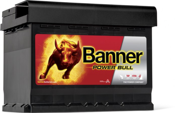 banner-power-bull-60