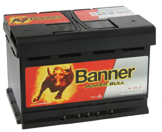 banner-power-bull-74